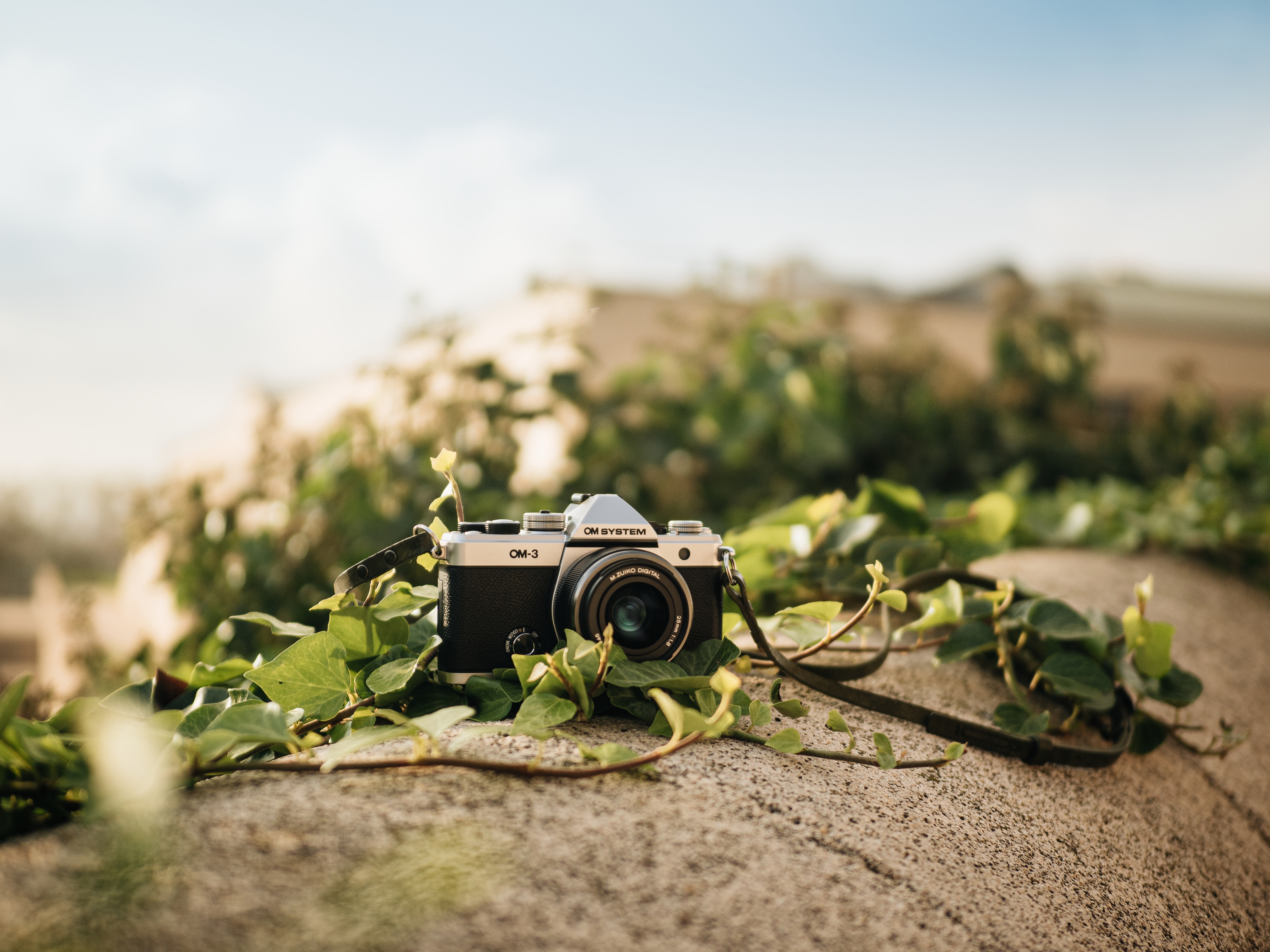 OM SYSTEM OM-3 Srebrny + Zuiko 12‑45mm F4.0 PRO